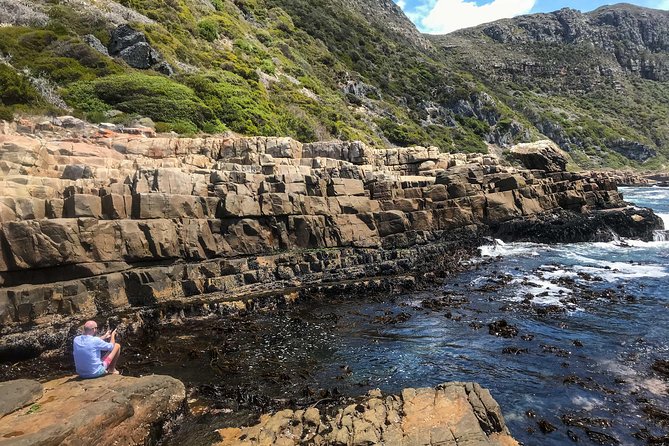 Cape Peninsula with a Marine Biologist - The vehicle, equipment, and pace