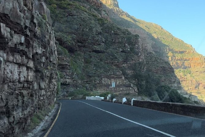 Cape Point and Boulder's Penguins Full Day Tour - Muizenberg and the long ride home