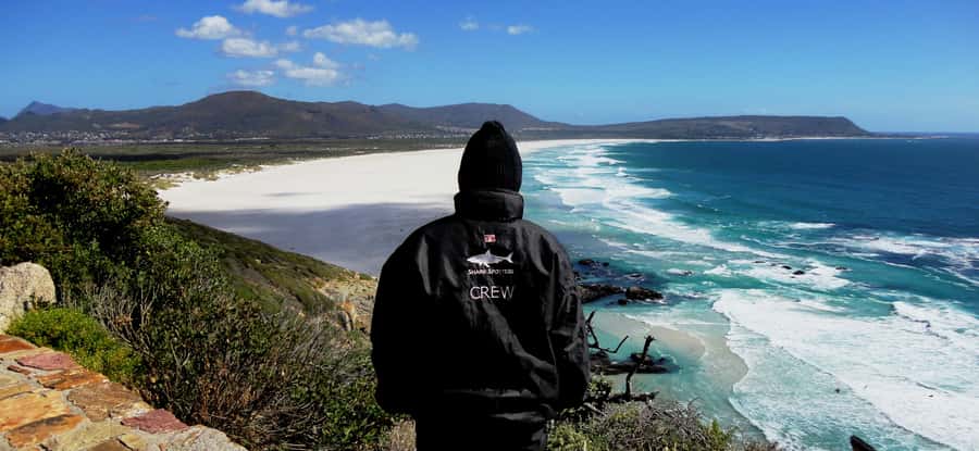 Cape Point Cape of Good Hope, Penguins Private Half day Tour - Cape Point and the old lighthouse
