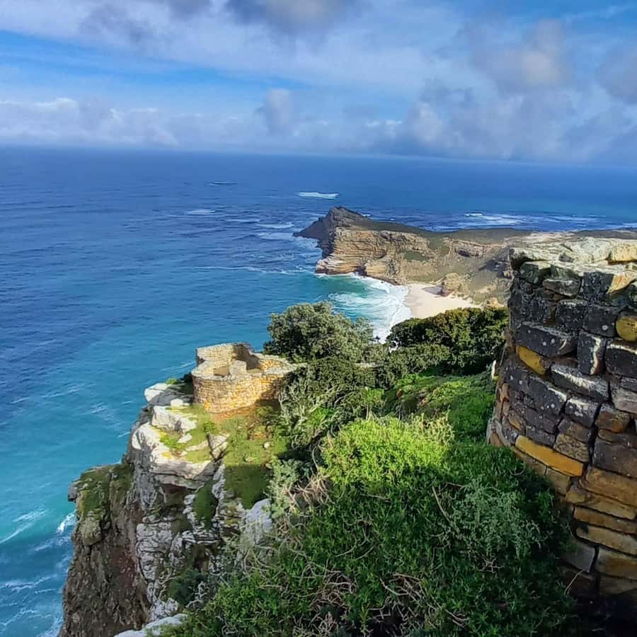 Cape Point Cape of Good Hope, Penguins Private Half day Tour - What the Cape floral kingdom adds