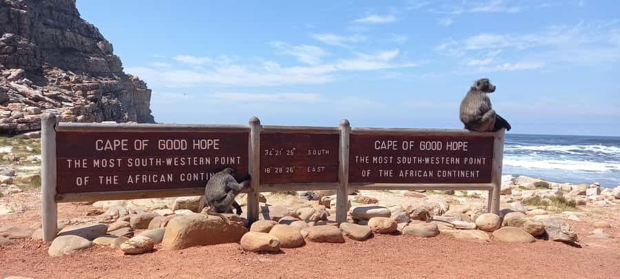 Cape Point Cape of Good Hope, Penguins Private Half day Tour - Chapmans Peak and the Atlantic coast