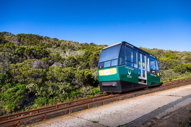 Cape Point Flying Dutchman Funicular Return Ticket - Cost, timing, and service
