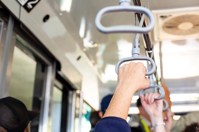 Cape Point Flying Dutchman Funicular Return Ticket - The short climb through Cape Point fynbos