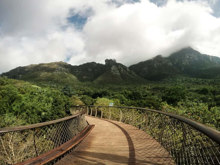 Cape Point Full-Day Tour From Cape Town - What the guide adds to the day