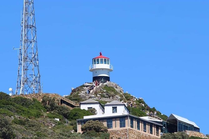 Cape Point & Penguin Explorer Tour - Cape Point gets the largest share of the day