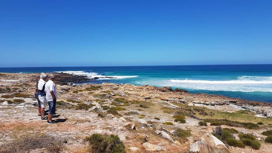 Cape Point & Penguins: Private Cape Peninsula Tour. - What the private guide changes