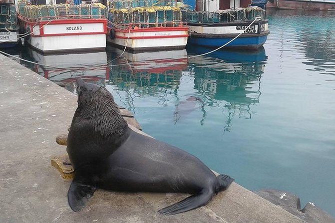 Cape Point Peninsula Tour (Cape To Grape Wine Tours) - Simon’s Town, naval history, and small shops