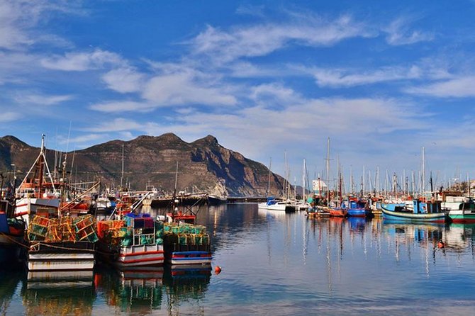 Cape Point Peninsula Tour (Cape To Grape Wine Tours) - Cape Point Nature Reserve and fynbos scenery