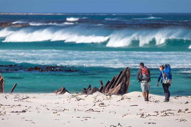 Cape Point Private Nature Tour & Hike - A 2.5-hour walk through Cape Peninsula fynbos