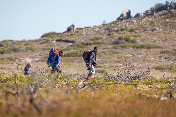 Cape Point Private Nature Tour & Hike - Cape Point beyond the lighthouse