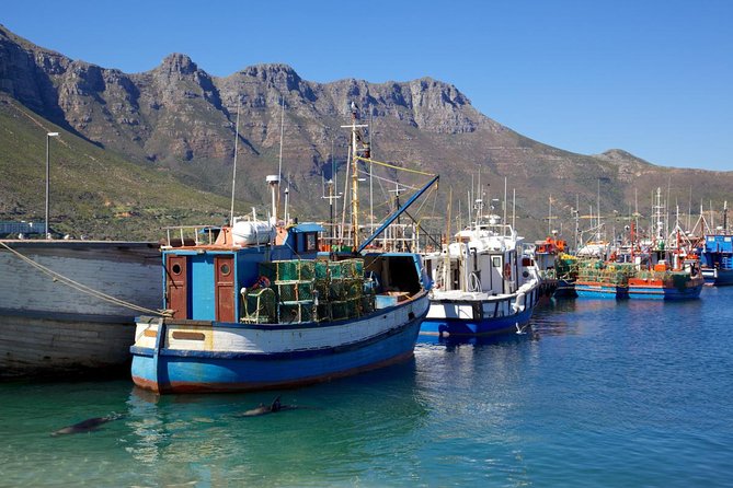 Cape Point Sightseeing Tour including Cape of Good Hope full day from Cape Town - Chapman’s Peak Drive and the Atlantic coast