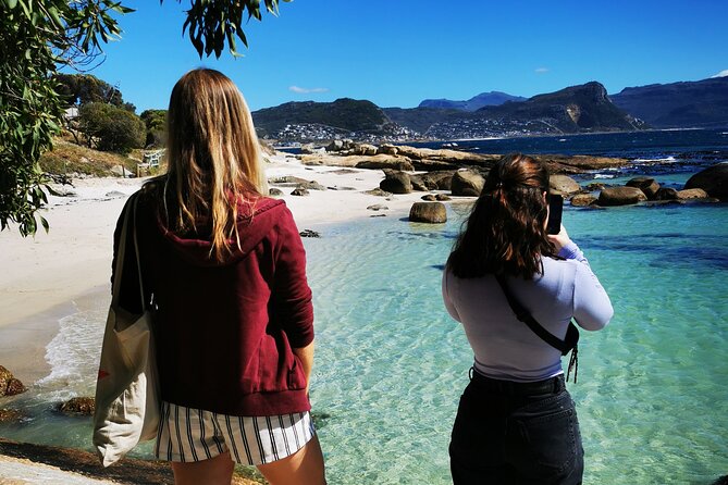 Cape Point Xplorer - Boulders Beach and the African penguins