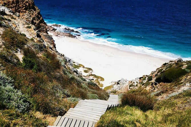 Cape Point Xplorer - Cape Point Nature Reserve and the lighthouse