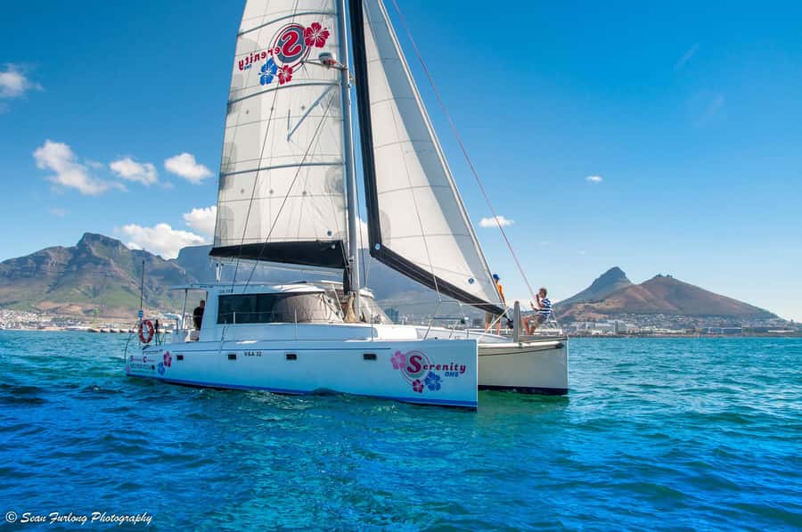 Cape Town: 1-Hour Pre-Sunset Champagne Cruise - Table Mountain from the water