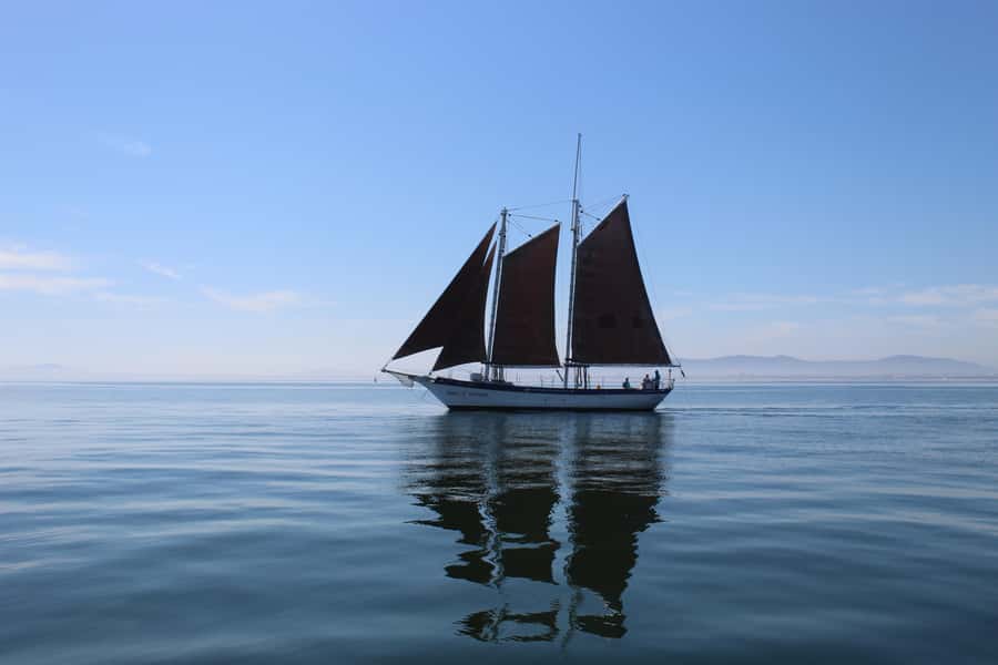 Cape Town: 1 Hour Table Bay Sailing Tour - Key points to know before you book