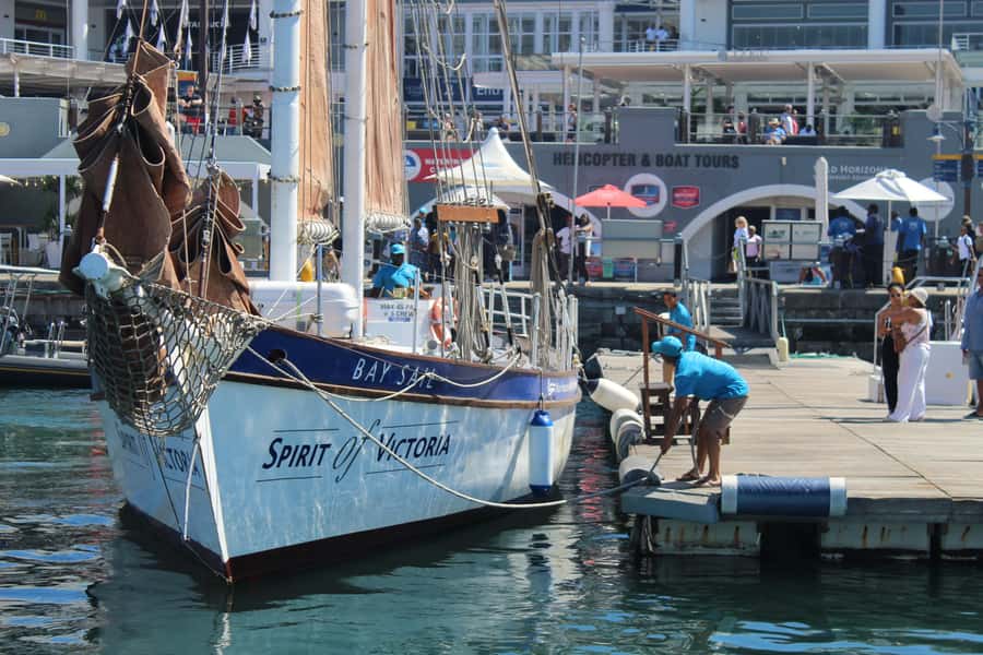 Cape Town: 1 Hour Table Bay Sailing Tour - The Table Bay views are the main event