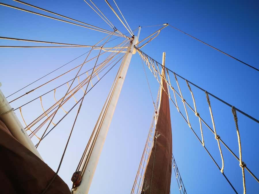 Cape Town: 1 Hour Table Bay Sailing Tour - Crew, comfort, and the feel onboard