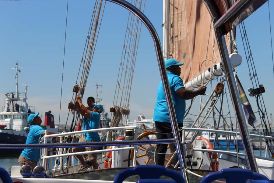 Cape Town: 1 Hour Table Bay Sailing Tour - Who will enjoy this one-hour cruise?