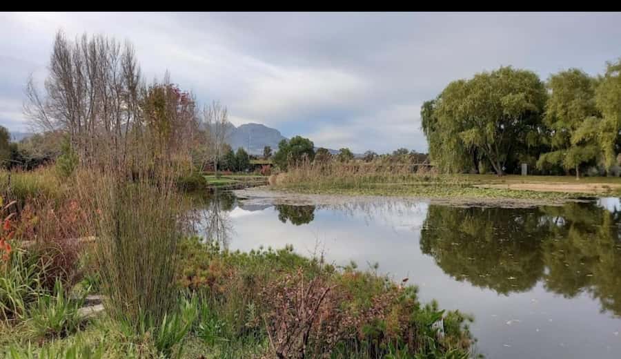 Cape Town: 15 Wine Tasting & Wildlife Small Group Tour - Four wine stops and one wildlife twist