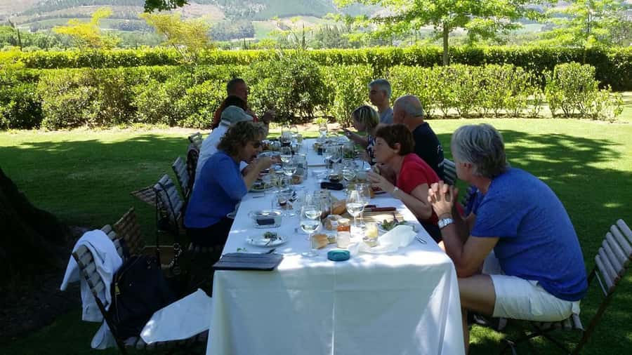 Cape Town: 15 Wine Tasting & Wildlife Small Group Tour - Stellenbosch in one careful hour