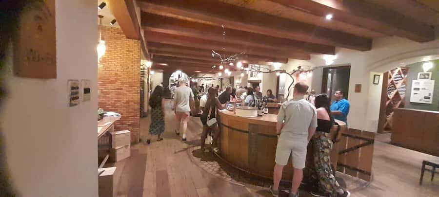 Cape Town: 15 Wine Tasting & Wildlife Small Group Tour - Who will enjoy this day most