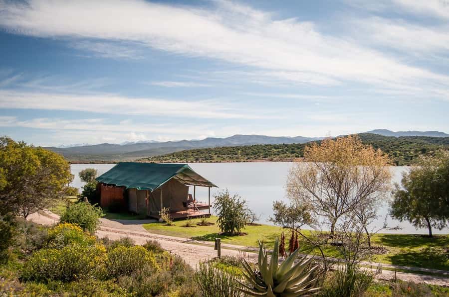 Cape Town: 2-Day Wildlife Tour with Safaris and Luxury Stay - The second bush drive at Buffelsdrift