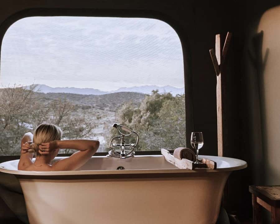 Cape Town: 2-Day Wildlife Tour with Safaris and Luxury Stay - Route 62 gives the return journey a purpose