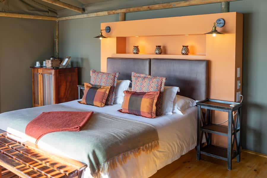 Cape Town: 2-Day Wildlife Tour with Safaris and Luxury Stay - Is the $534 price good value?
