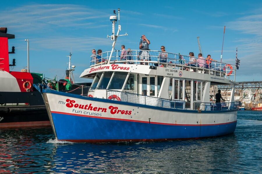Cape Town: 30 Minute Harbour Boat Cruise with Seal Watching - A quick boat ride with a very Cape Town payoff