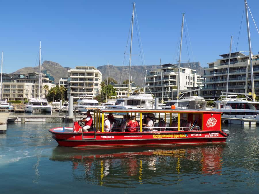 Cape Town: 30 Minute Seal-Watching Harbour Cruise - Meeting the seals around the harbour tyres