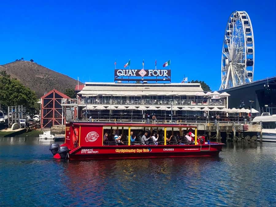 Cape Town: 30 Minute Seal-Watching Harbour Cruise - What you hear during the 30-minute ride
