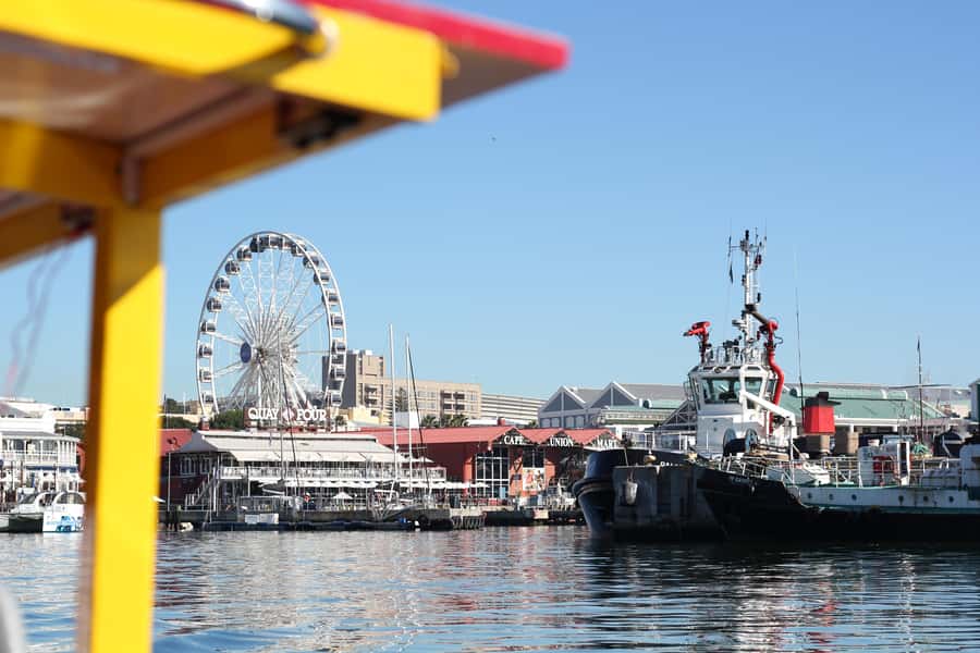 Cape Town: 30 Minute Seal-Watching Harbour Cruise - Timing your departure at the V&A Waterfront