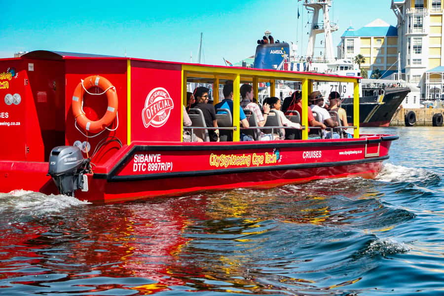 Cape Town: 30 Minute Seal-Watching Harbour Cruise - Comfort, access, and what to bring