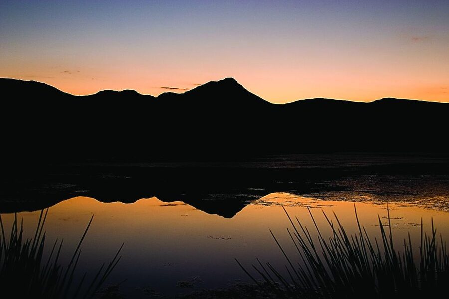 Cape Town: Aquila Game Reserve Day Entrance & Game Drive - Breakfast before the animals