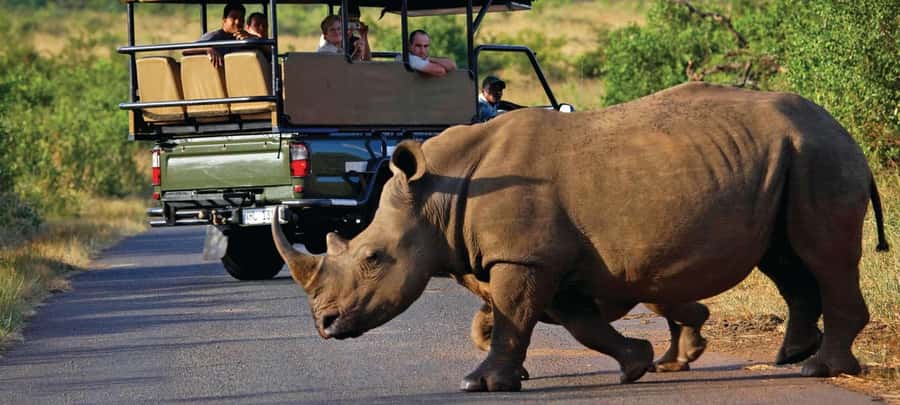 Cape Town: Aquila Game Reserve SAFARI +Lunch Buffet +Pickup - Key points at a glance