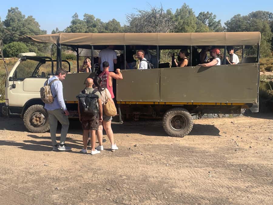 Cape Town: Aquila Game Reserve SAFARI +Lunch Buffet +Pickup - Leaving Cape Town for the Karoo bush