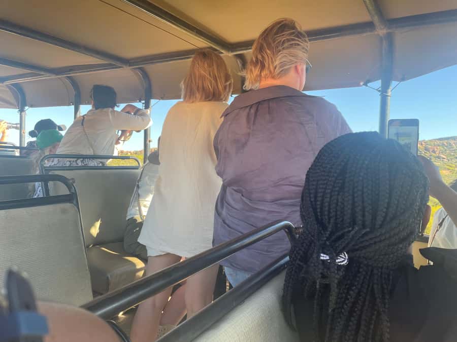 Cape Town: Aquila Game Reserve SAFARI +Lunch Buffet +Pickup - The 4-star buffet lunch
