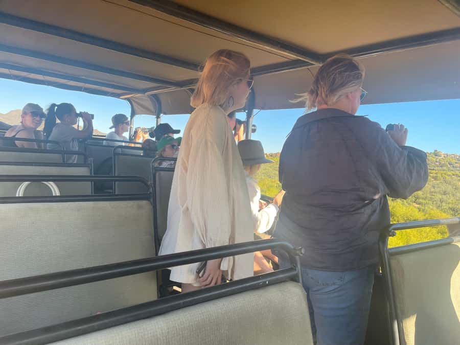 Cape Town: Aquila Game Reserve SAFARI +Lunch Buffet +Pickup - Searching for animals in an open safari vehicle