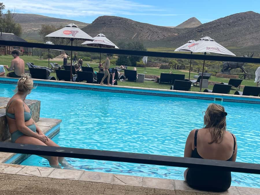 Cape Town: Aquila Game Reserve SAFARI +Lunch Buffet +Pickup - The guides and the human side of the day