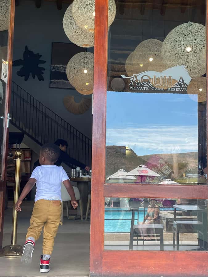 Cape Town: Aquila Game Reserve SAFARI +Lunch Buffet +Pickup - Who should book this day trip?