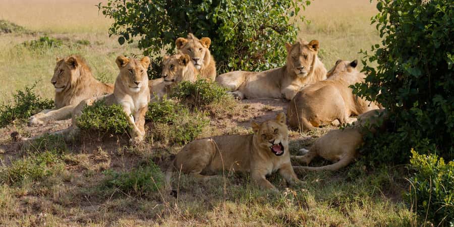 Cape Town: Aquila Reserve Safari with Lunch and Winery Visit - Arriving at Aquila Private Nature Reserve