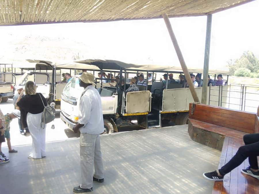 Cape Town: Aquila Reserve Safari with Lunch and Winery Visit - A lodge buffet after the game drive