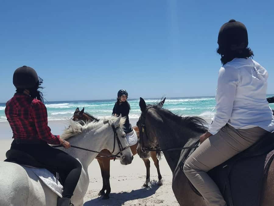 Cape Town: Beach Horse Ride with Hotel Pickup & Drop-off - Riding beside the Atlantic at Noordhoek Beach