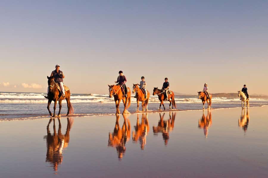 Cape Town: Beach Horse Ride with Hotel Pickup & Drop-off - The four-hour schedule, from hotel door to beach