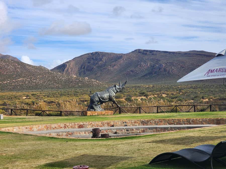Cape Town big five safari with transport lunch Excl park fee - Should you book this Cape Town safari?