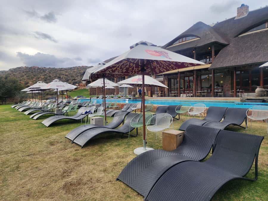 Cape Town big five safari with transport lunch Excl park fee - What animal sightings are really worth