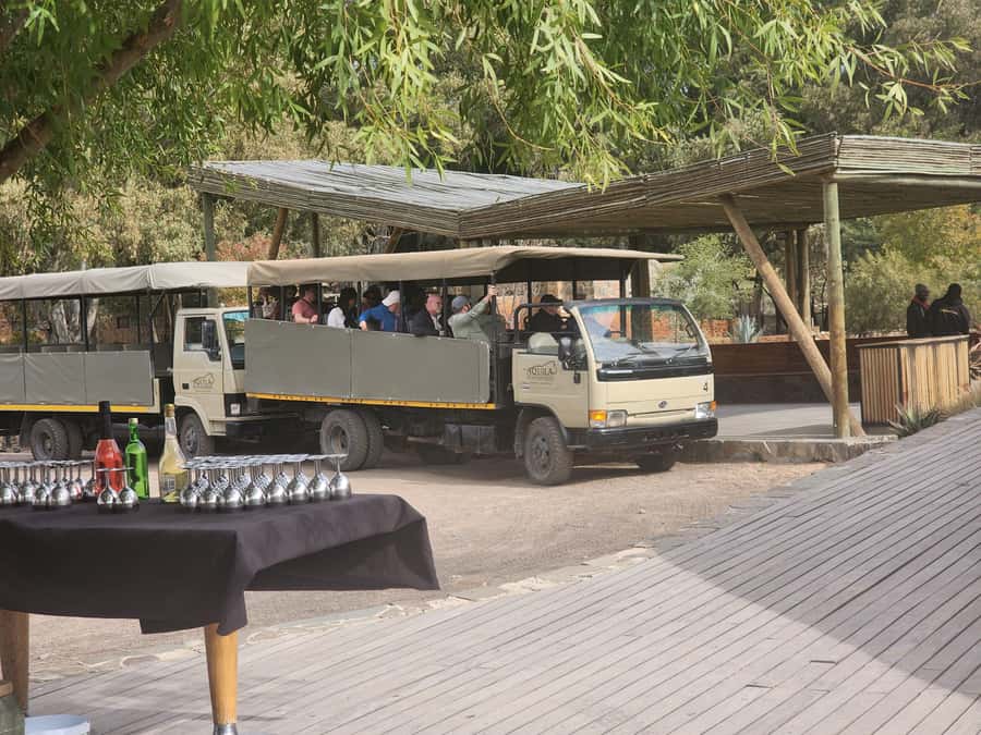 Cape Town big five safari with transport lunch Excl park fee - Who will enjoy Aquila most?