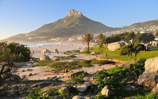 Cape Town Boat Trip - Key points to know before booking