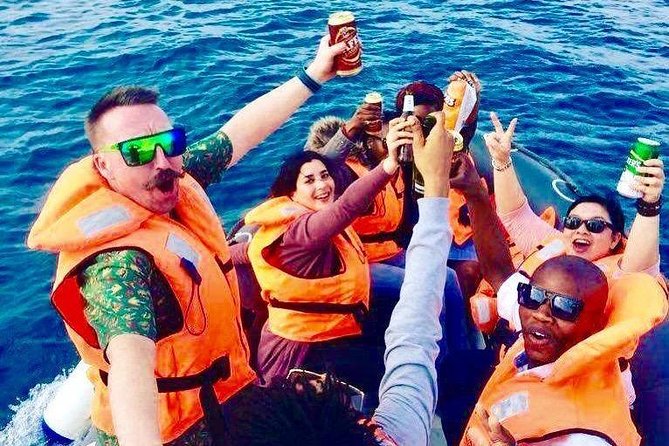 Cape Town Boat Trip - What the one-hour format means for your day