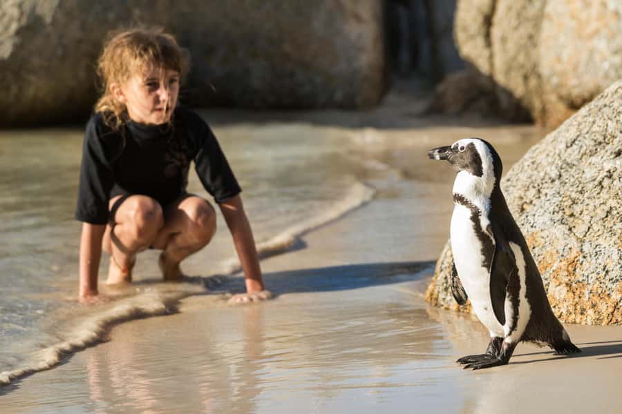 Cape Town: Boulders Penguin Colony Prebooked Entry Ticket - From the parking lot to the colony entrance
